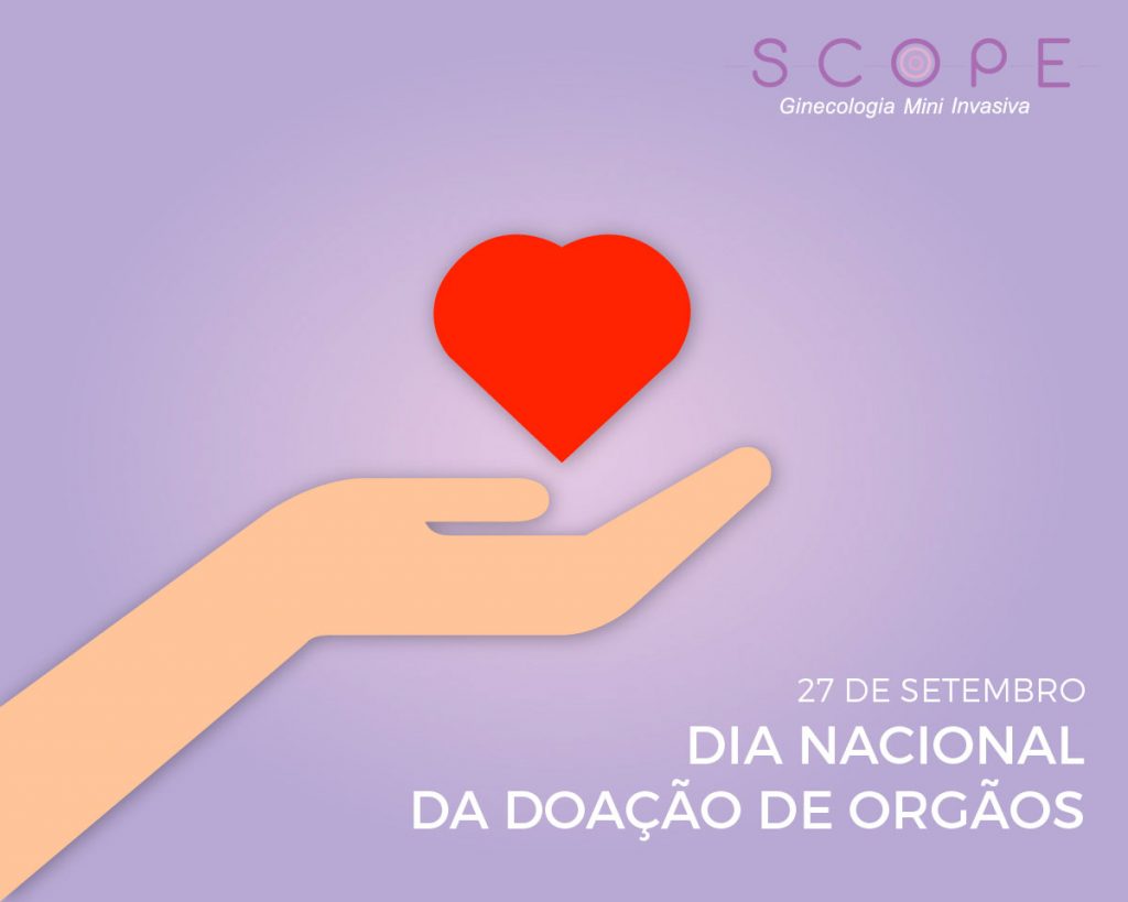 O que é doação de órgãos e como se tornar doadora